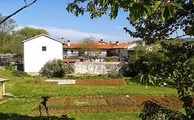 Apartmaji Hedera